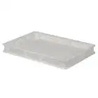 BACS À PÂTONS EN POLYPROPYLÈNE - CÔTÉS ET FOND PERFORÉS - CAPACITÉ 12 L - DIMENSIONS EXTÉRIEURES L 60 x P 40 x h 7 cm