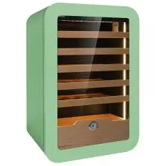 Vitrine réfrigéré pour vin avec capacité Lt 126 et température de +2 à +20 °C Klimaitalia VINARIUS 40 GREEN