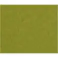 COULEUR DE SIÈGE EN TISSU VERT ACIDE