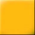 PARTIE FRONTALE  COULEUR JAUNE MELON (RÉFÉRENCE RAL 1028)