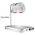 PLATEAU CHAUFFANT LAMPES À INFRAROUGES - MOD. PCI4717 - Structure en acier inox - N.2 lampe à infrarouges - Thermostat réglable 30°/90°C - Puissance W 250+250+250 - Voltage  V230 50/60 Hz - Dim. 60x40xh68 cm