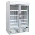 ARMOIRE RÉFRIGÉRÉE EN TÔLE PEINTE - SNACK - Mod. G-SNACK930BTG - Capacité  1078 Lt - N. 2 PORTES EN VERRE - Température -18º/-22ºC - Dim. 1376x63x213 cm - Norme CE