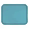 PLATEAU: POUR CANTINE - MOD. 100303 - MODÈLE CLASSIQUE RECTANGULAIRE - EN POLYPROPYLÈNE - BOÎTE DE 30 PIÈCES - DIM. 45,6 x  35,6 cm - NORME CE