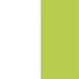 COULEUR DU SIÈGE BLANC + VERT PISTACHE