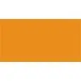 COULEUR PLATEAU: ORANGE  JAUNÂTRE