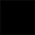 Couleur intérieure noir