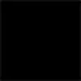 Couleur intérieure noir