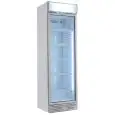 ARMOIRE RÉFRIGÉRÉE EN TÔLE PEINTE - POUR BOISSONS - FROID BRASSÉ - Mod. GXI390E - CAPACITÉ 390 L - 1 PORTE VITRÉE - TEMPÉRATURE 0/+10°C - DIM. L 60 x P 65,5 x H 195 cm - NORME CE