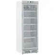 ARMOIRE RÉFRIGÉRÉE EN TÔLE PEINTE - POUR BOISSONS - STATIQUE AVEC AGITATEUR - Mod. GXI390XI - CAPACITÉ Lt 390 - N. 1 PORTE VITRÉE - TEMPÉRATURE 0/+10°C - DIM. cm L 59,5 x P 65,5 x H 183 - NORME CE