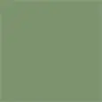 COULEUR MALVA GREEN