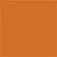 COULEUR PUMPKIN ORANGE